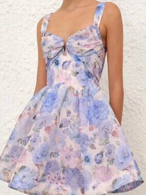 Zimmermann Rebellion Drape Mini Dress